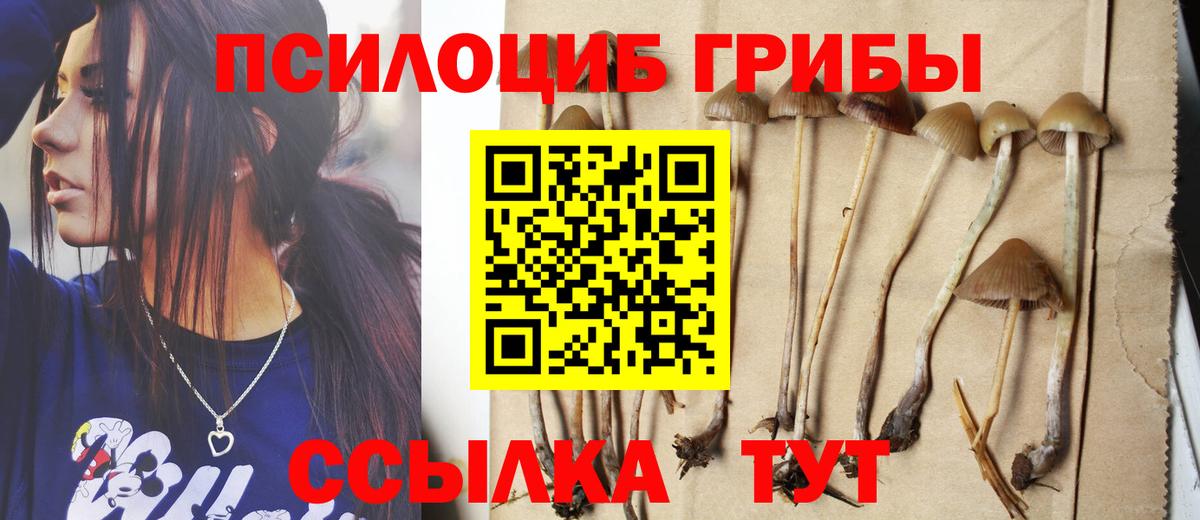 Галлюциногенные грибы Cubensis  Вход с VPN  Сердобск  Псилоцибиновые грибы Psilocybe 